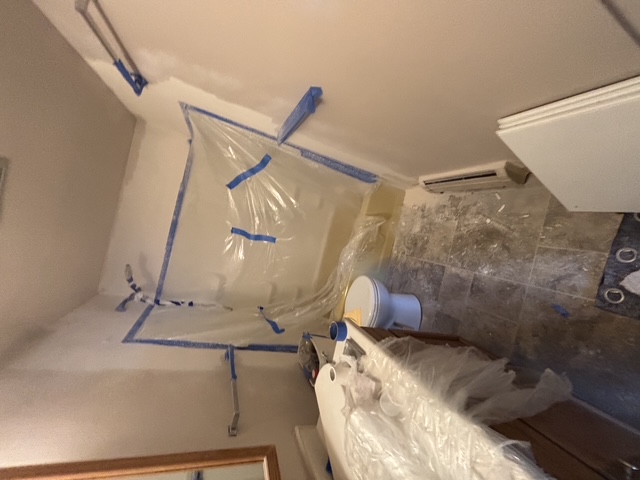 Bathroom Refresh — before