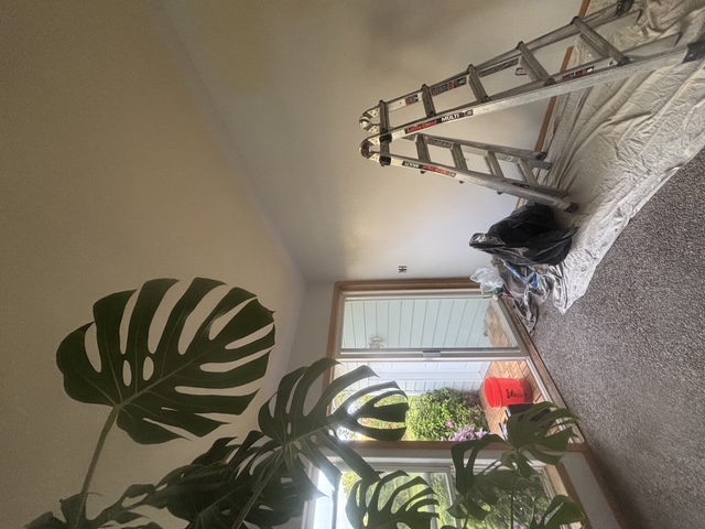 Sunroom Interior Repaint — S.S. Home Repairs project, Helena MT